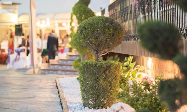 Por qué los novios eligen Quinta del Alba como Fincas Bodas Madrid